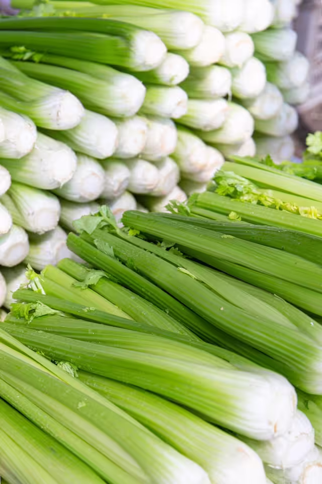 Image of Celery