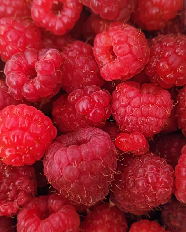 Image of Raspberry